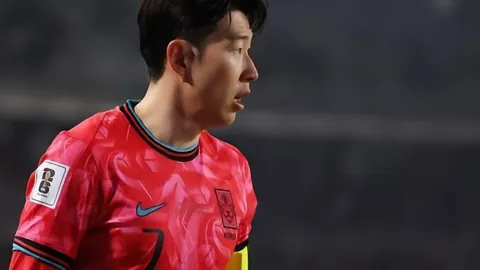 维蒂尼亚荣膺2026法甲：29场贡献1球7助攻，赛季最佳盘点